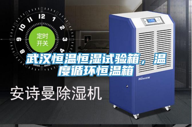 亚洲乱码一区二区三区 武汉恒温恒湿试验箱，温度循环恒温箱