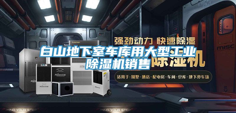 亚洲人成综合第一网站 白山地下室车库用大型工业除湿机销售