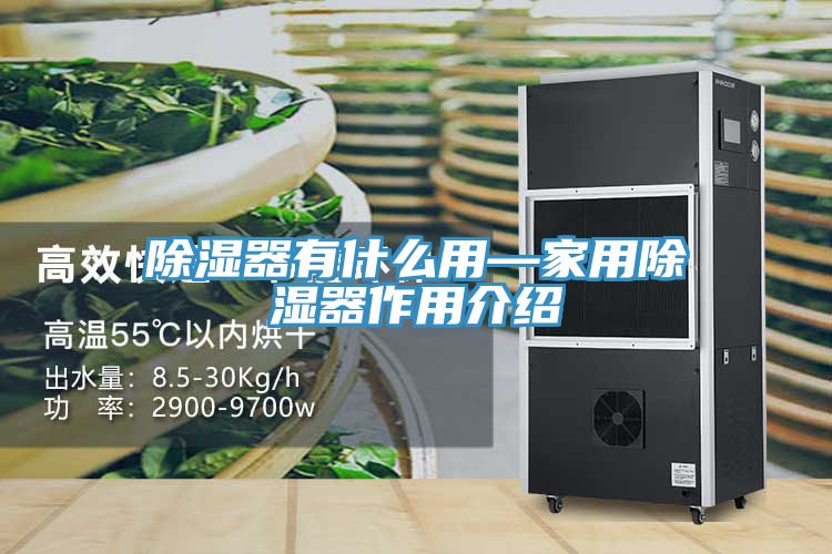 亚洲人成综合第一网站 除湿器有什么用—家用除湿器作用介绍