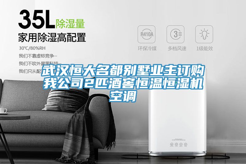 亚洲乱码一区二区三区 武汉恒大名都别墅业主订购我公司2匹酒窖恒温恒湿机空调