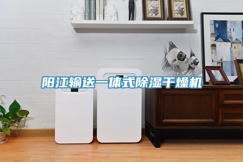 亚洲人成综合第一网站 阳江输送一体式除湿干燥机