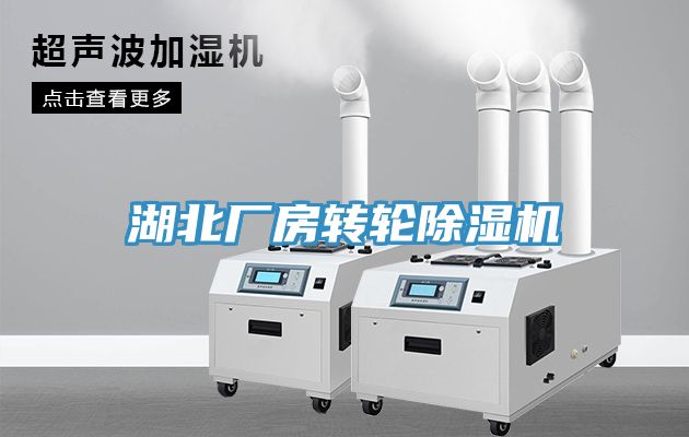 亚洲人成综合第一网站 湖北厂房转轮除湿机