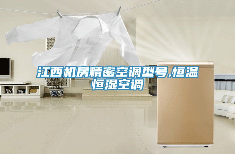 亚洲欧美一级特黄大片 江西机房精密空调型号,恒温恒湿空调