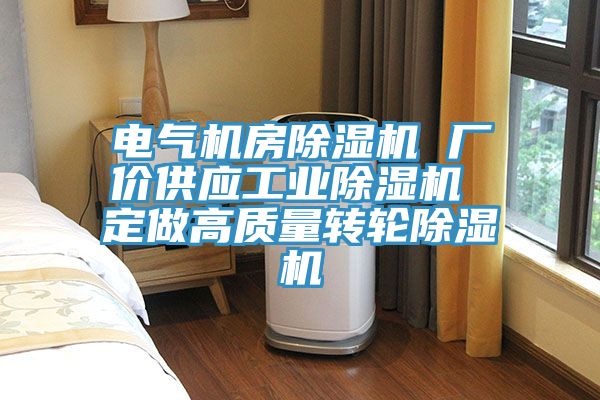 亚洲欧美一级特黄大片 电气机房除湿机 厂价供应工业除湿机 定做高质量转轮除湿机