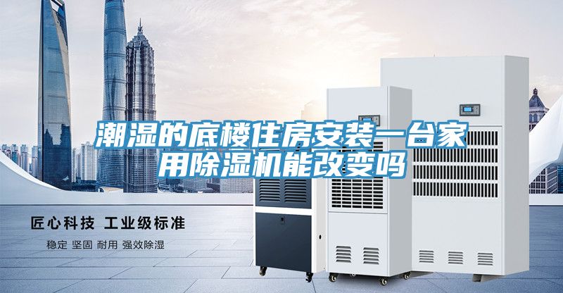 亚洲乱码一区二区三区 潮湿的底楼住房安装一台家用除湿机能改变吗