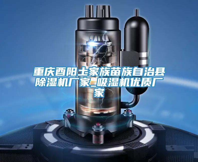 亚洲人成综合第一网站 重庆酉阳土家族苗族自治县除湿机厂家_吸湿机优质厂家