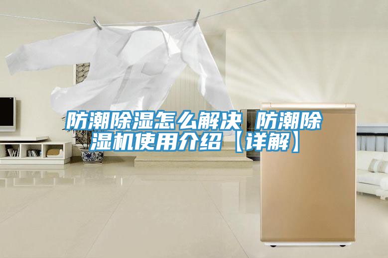 亚洲人成综合第一网站 防潮除湿怎么解决 防潮除湿机使用介绍【详解】