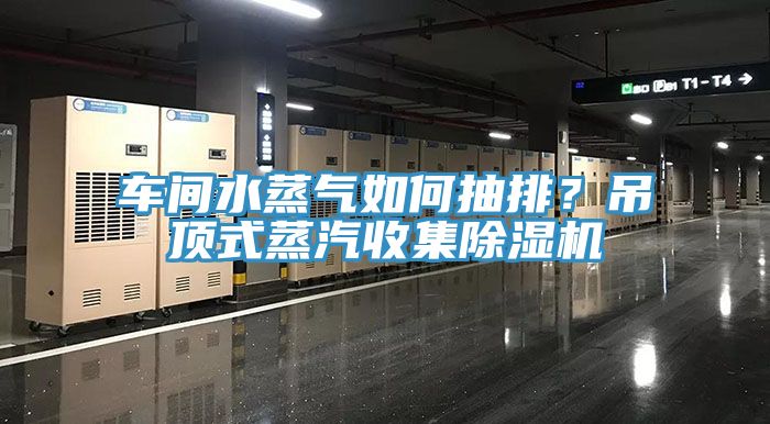 亚洲欧美一级特黄大片 车间水蒸气如何抽排？吊顶式蒸汽收集除湿机
