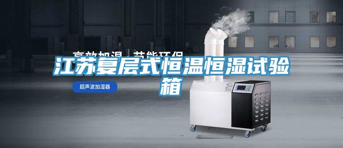 亚洲人成综合第一网站 江苏复层式恒温恒湿试验箱