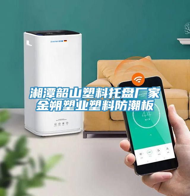 亚洲人成综合第一网站 湘潭韶山塑料托盘厂家金朔塑业塑料防潮板