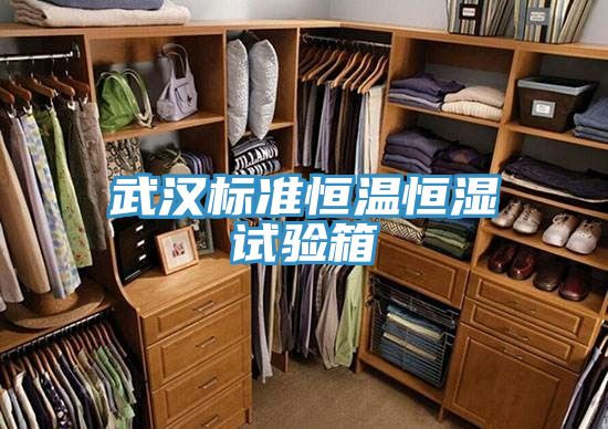 亚洲人成综合第一网站 武汉标准恒温恒湿试验箱