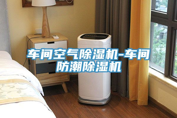 亚洲人成综合第一网站 车间空气除湿机-车间防潮除湿机