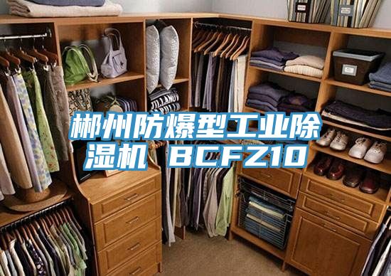 亚洲乱码一区二区三区 郴州防爆型工业除湿机 BCFZ10