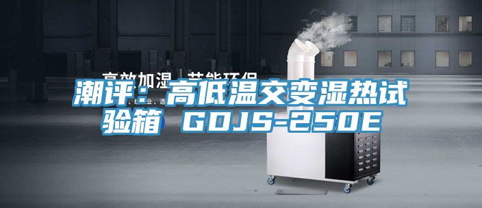 亚洲人成综合第一网站 潮评：高低温交变湿热试验箱 GDJS-250E