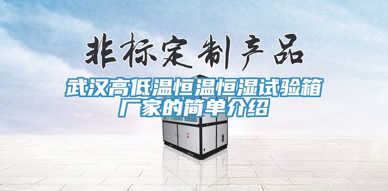 亚洲人成综合第一网站 武汉高低温恒温恒湿试验箱厂家的简单介绍