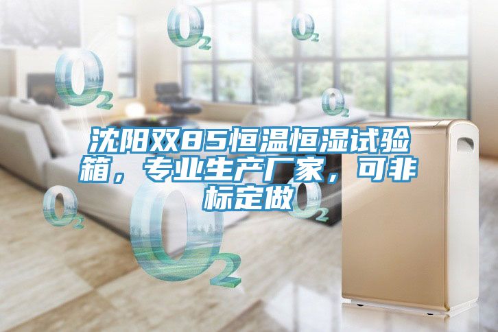 亚洲人成综合第一网站 沈阳双85恒温恒湿试验箱，专业生产厂家，可非标定做