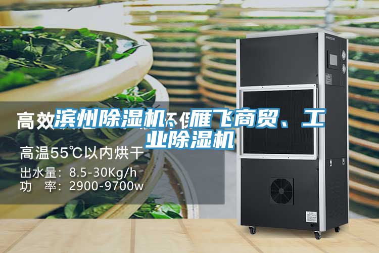 亚洲欧美一级特黄大片 滨州除湿机、雁飞商贸、工业除湿机