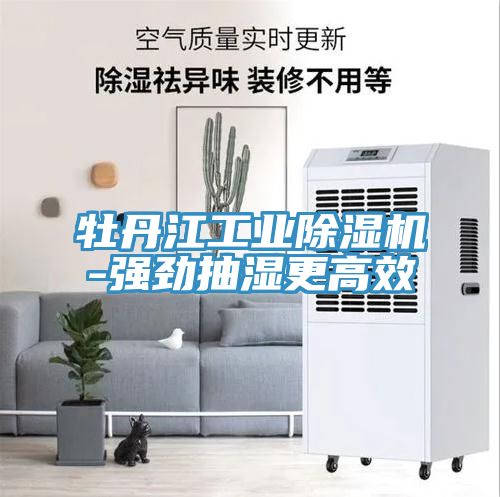 亚洲人成综合第一网站 牡丹江工业除湿机-强劲抽湿更高效