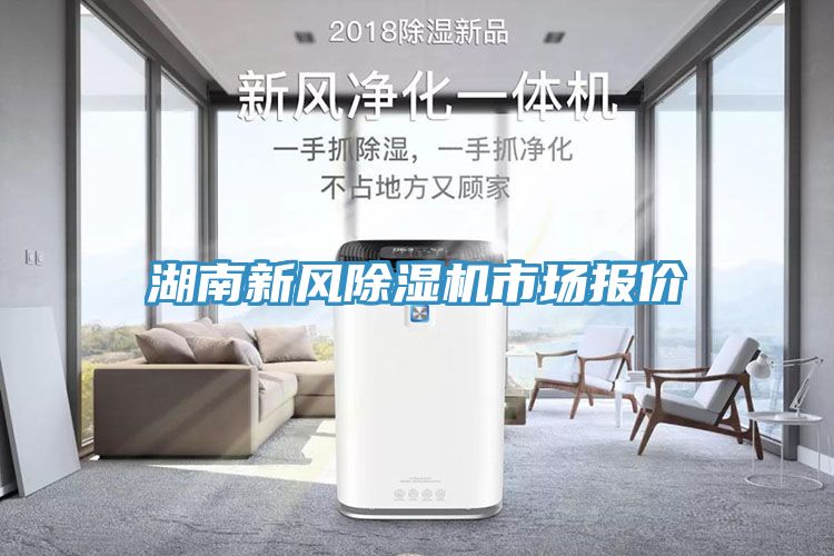 亚洲人成综合第一网站 湖南新风除湿机市场报价