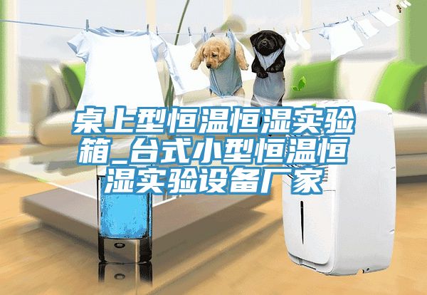亚洲乱码一区二区三区 桌上型恒温恒湿实验箱_台式小型恒温恒湿实验设备厂家