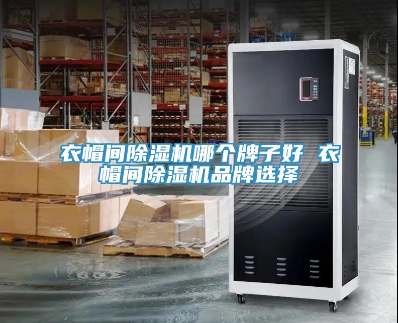 亚洲欧美一级特黄大片 衣帽间除湿机哪个牌子好 衣帽间除湿机品牌选择