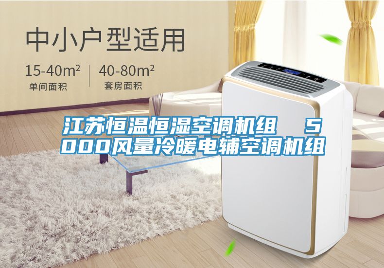 亚洲欧美一级特黄大片 江苏恒温恒湿空调机组  5000风量冷暖电辅空调机组