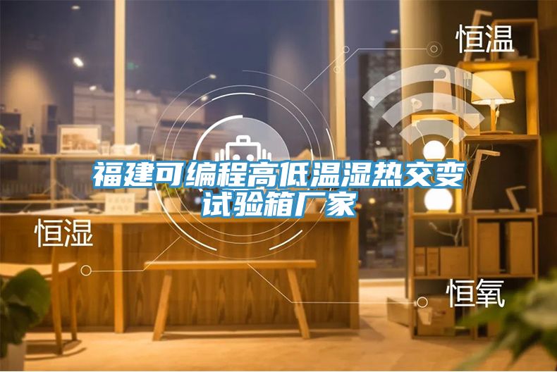亚洲人成综合第一网站 福建可编程高低温湿热交变试验箱厂家