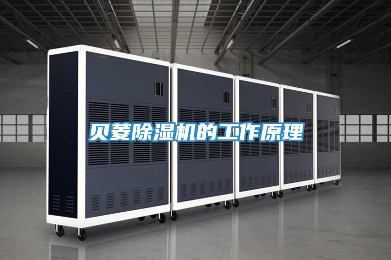 亚洲欧美一级特黄大片 贝菱除湿机的工作原理
