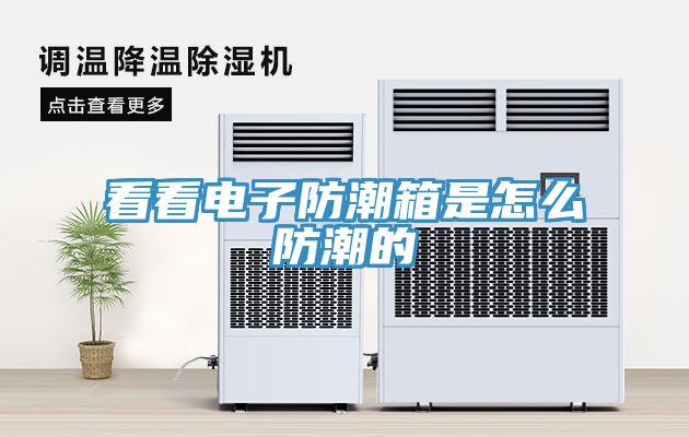 亚洲欧美一级特黄大片 看看电子防潮箱是怎么防潮的