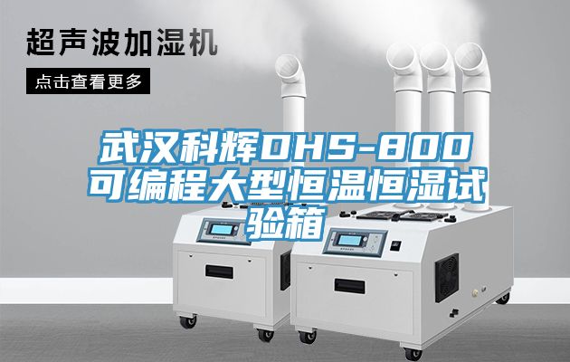 亚洲乱码一区二区三区 武汉科辉DHS-800可编程大型恒温恒湿试验箱