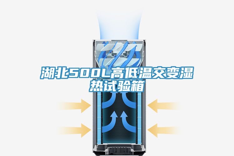 亚洲人成综合第一网站 湖北500L高低温交变湿热试验箱