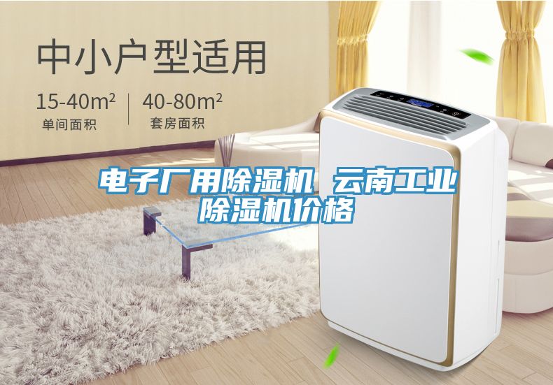 亚洲乱码一区二区三区 电子厂用除湿机 云南工业除湿机价格