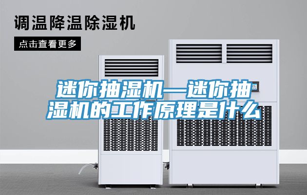 亚洲乱码一区二区三区 迷你抽湿机—迷你抽湿机的工作原理是什么