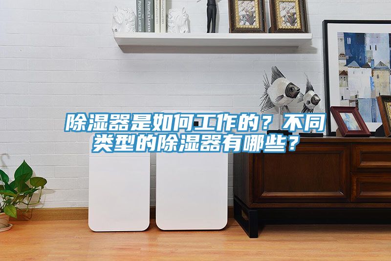 亚洲欧美一级特黄大片 除湿器是如何工作的？不同类型的除湿器有哪些？
