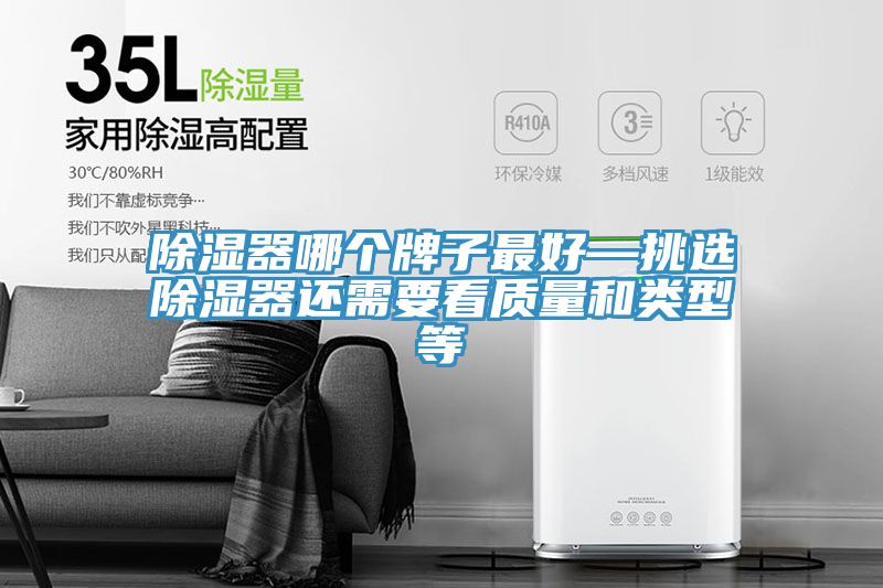 亚洲人成综合第一网站 除湿器哪个牌子最好—挑选除湿器还需要看质量和类型等