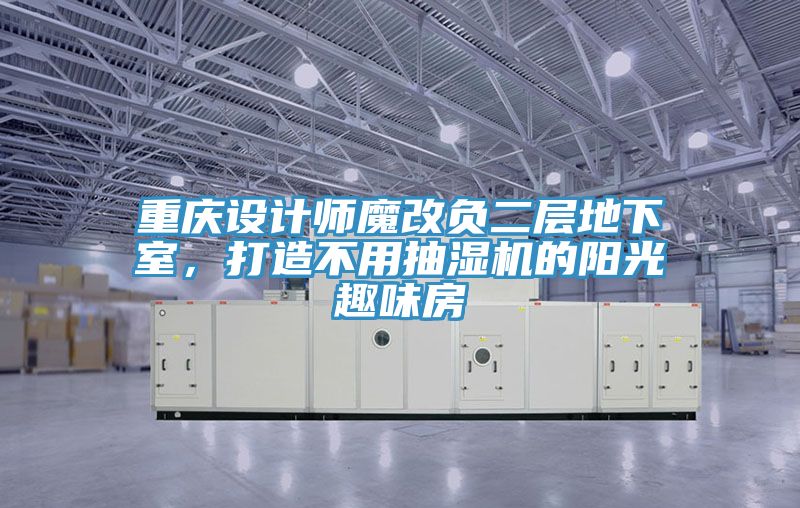 亚洲欧美一级特黄大片 重庆设计师魔改负二层地下室，打造不用抽湿机的阳光趣味房