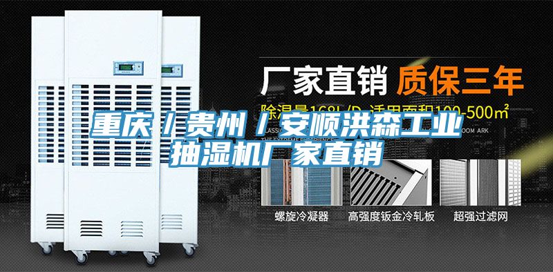亚洲人成综合第一网站 重庆／贵州／安顺洪森工业抽湿机厂家直销
