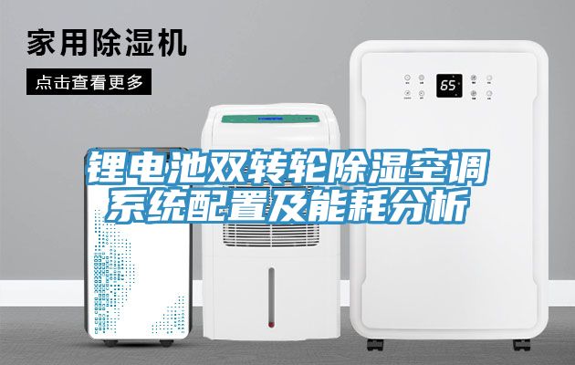 亚洲人成综合第一网站 锂电池双转轮除湿空调系统配置及能耗分析