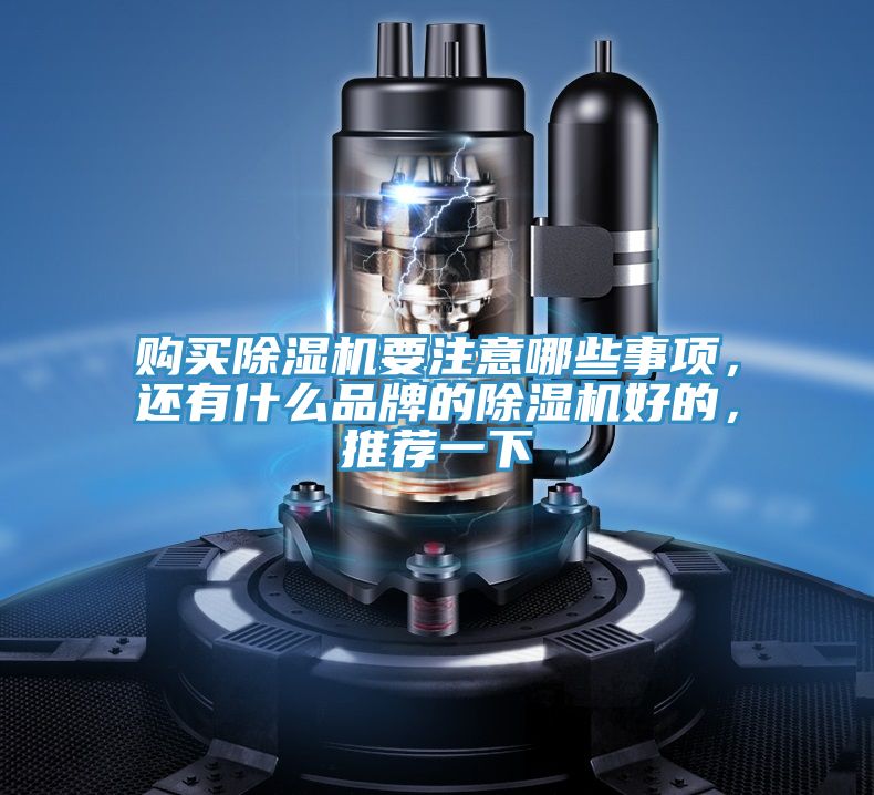 亚洲人成综合第一网站 购买除湿机要注意哪些事项，还有什么品牌的除湿机好的，推荐一下