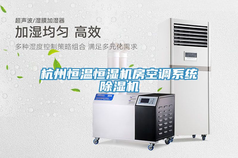 亚洲乱码一区二区三区 杭州恒温恒湿机房空调系统除湿机
