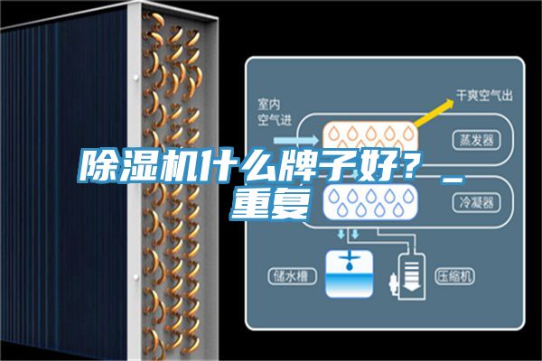 亚洲欧美一级特黄大片 除湿机什么牌子好？_重复