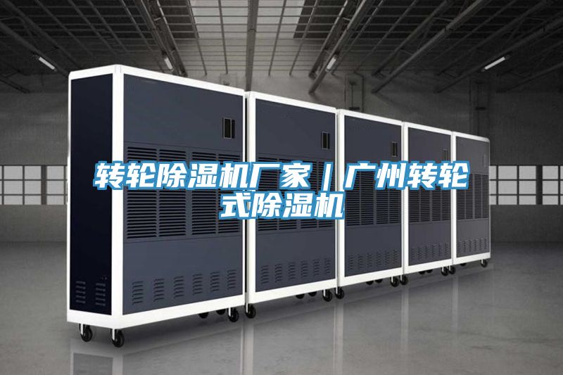 亚洲人成综合第一网站 转轮除湿机厂家｜广州转轮式除湿机