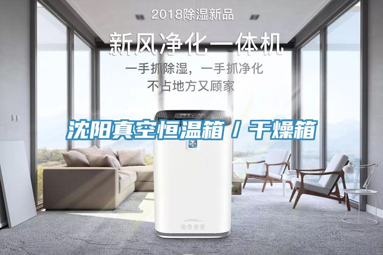 亚洲欧美一级特黄大片 沈阳真空恒温箱／干燥箱