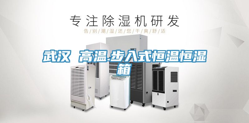 亚洲人成综合第一网站 武汉 高温.步入式恒温恒湿箱