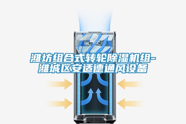 亚洲欧美一级特黄大片 潍坊组合式转轮除湿机组-潍城区安适德通风设备