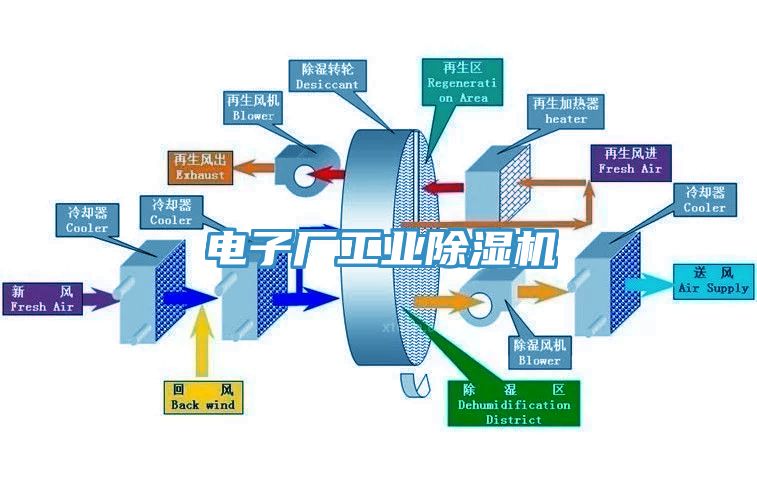 亚洲欧美一级特黄大片 电子厂工业除湿机