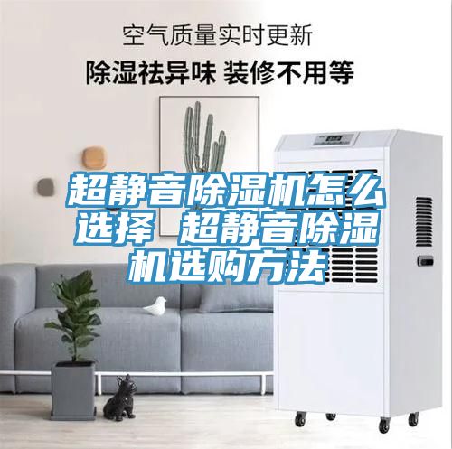 亚洲人成综合第一网站 超静音除湿机怎么选择 超静音除湿机选购方法