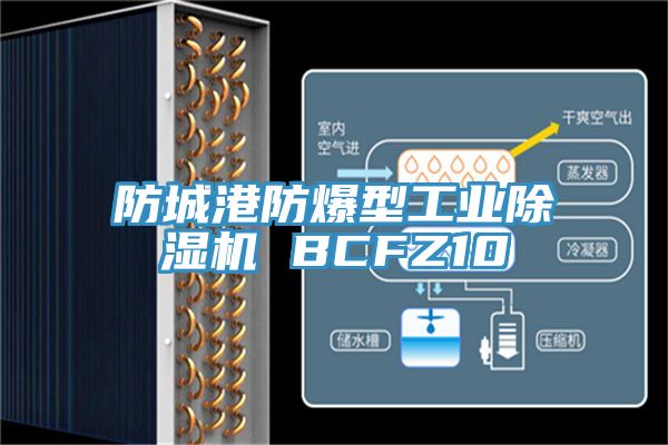 亚洲欧美一级特黄大片 防城港防爆型工业除湿机 BCFZ10