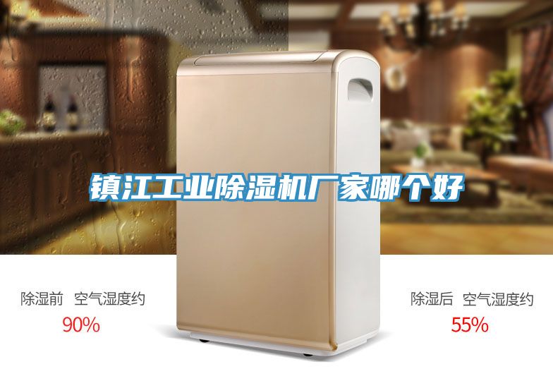 亚洲人成综合第一网站 镇江工业除湿机厂家哪个好