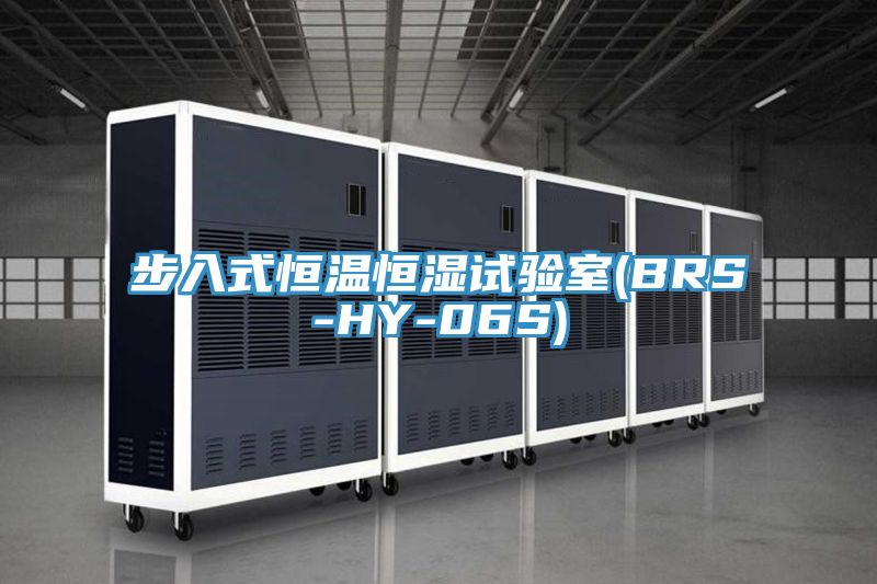亚洲欧美一级特黄大片 步入式恒温恒湿试验室(BRS-HY-06S)